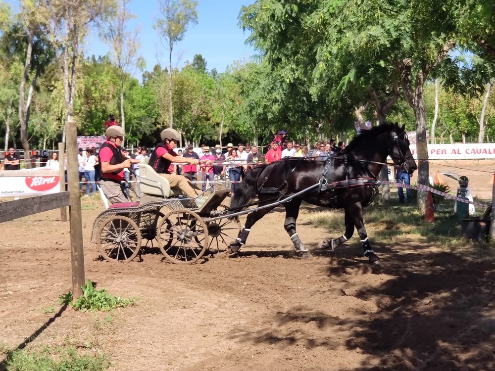 Carmen Goiburu particip&oacute; en el Campeonato de Espa&ntilde;a de Enganches